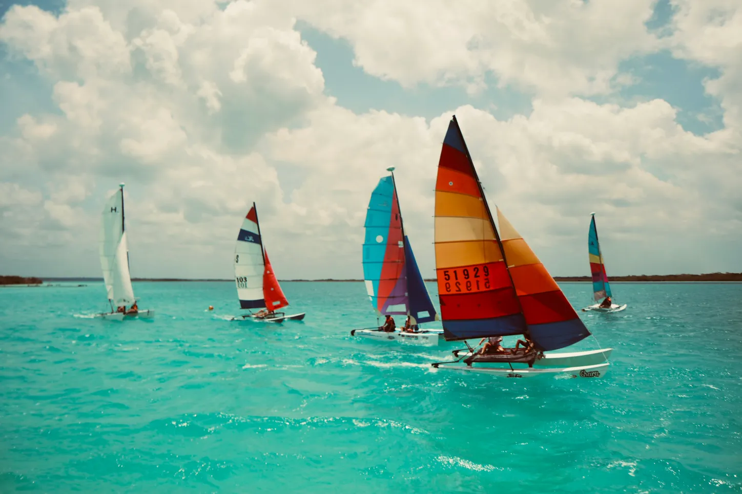 Catamarans Hobie 16 naviguant sur la lagune de Bacalar