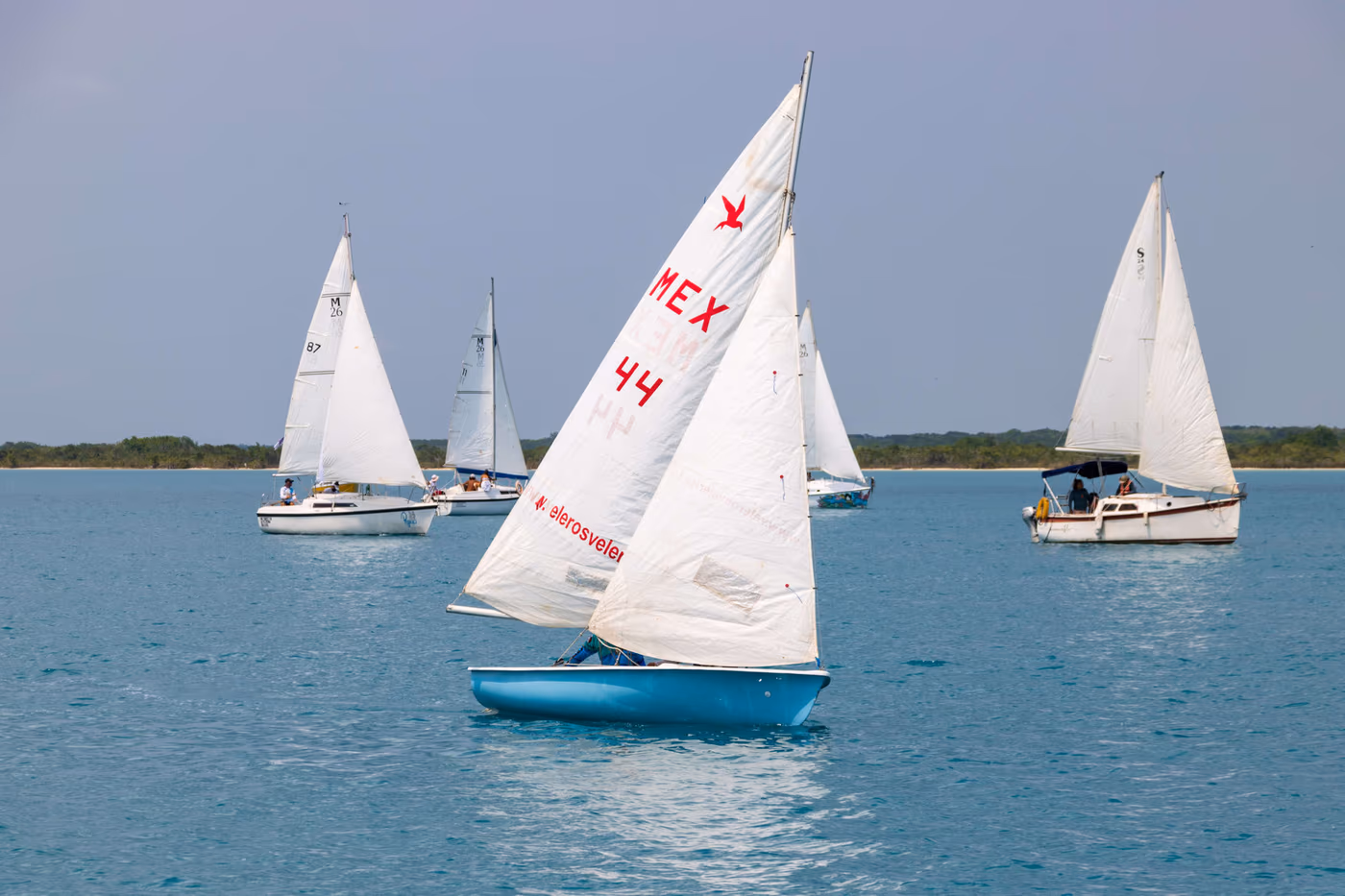 Dinghy with sail number 44 racing on Bacalar lagoon