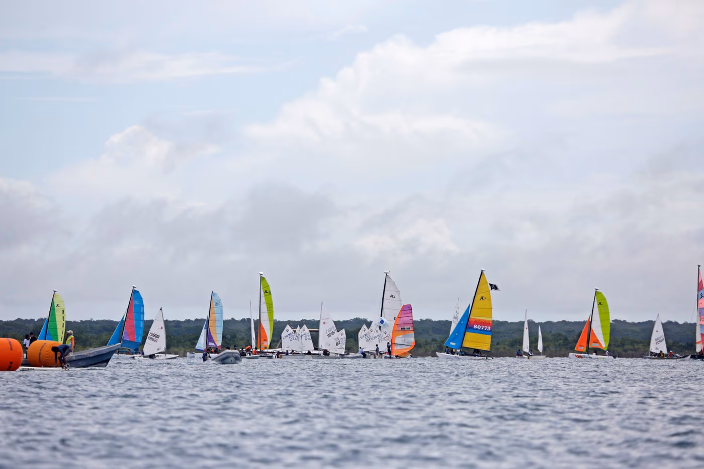 Catamaranes, optimists y tablas de windsurf en regata en la laguna de Bacalar